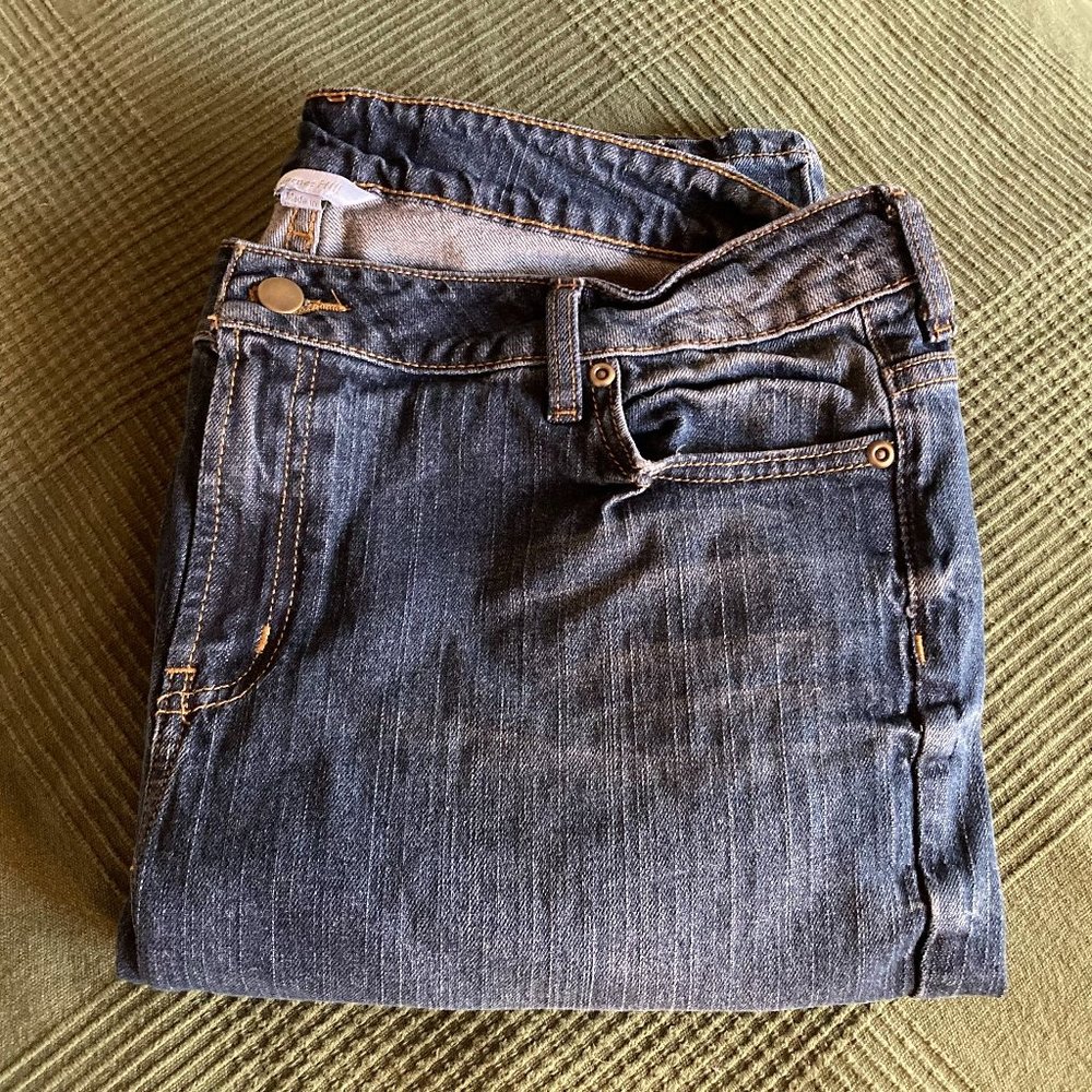 Garnet Hill Slim Stretch Mid Rise Jeans 18L (NWT)